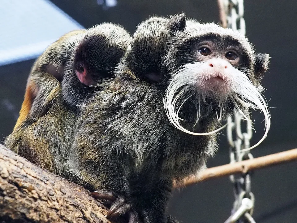 © Zoo Leipzig GmbH
