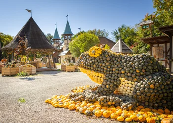 Tagesfahrt Kürbisfest auf Schloss Kaltenberg