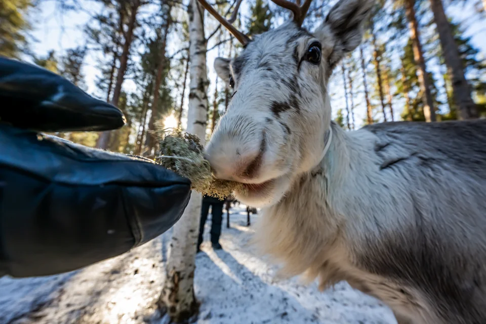 © Klaus Hansen Fotografie