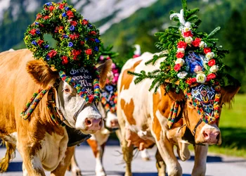 Tagesfahrt Reither Bauernmarkt mit Almabtrieb und Kirchtagsfest