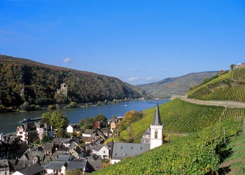 3 Tage Federweißerfest in Rüdesheim