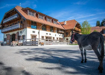 Tagesfahrt zum Gut Aiderbichl