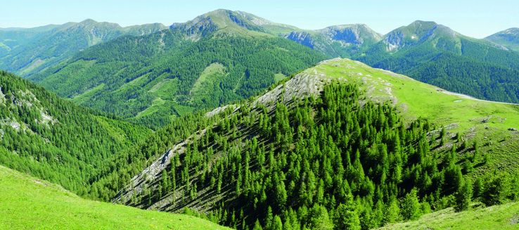 Die Nockberge sind die westlichste und höchste Gebirgsgruppe der Gurktaler Alpen und erstrecken sich über Teile Kärntens, Salzburgs und der Steiermark. Ihr Erscheinungsbild ist durch zahlreiche kuppenartige und grasbewachsene Berggipfel geprägt