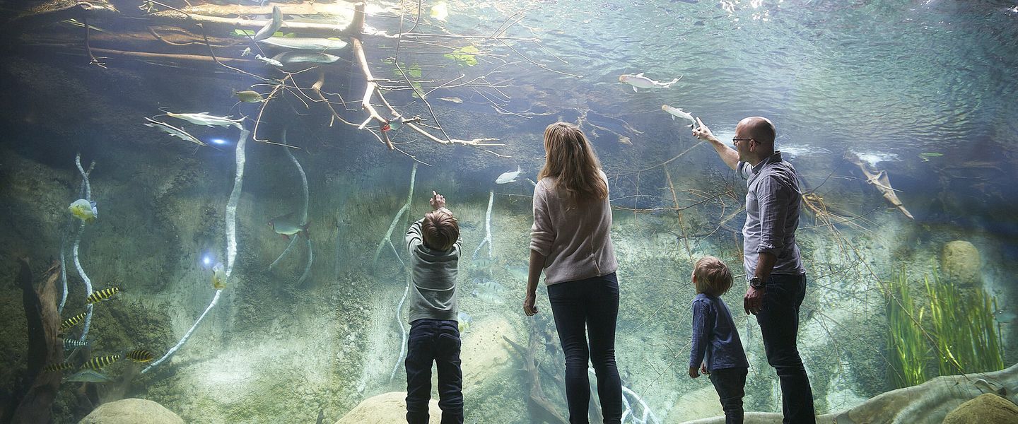 © Zoo Leipzig GmbH