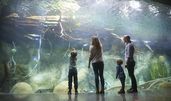 © Zoo Leipzig GmbH
