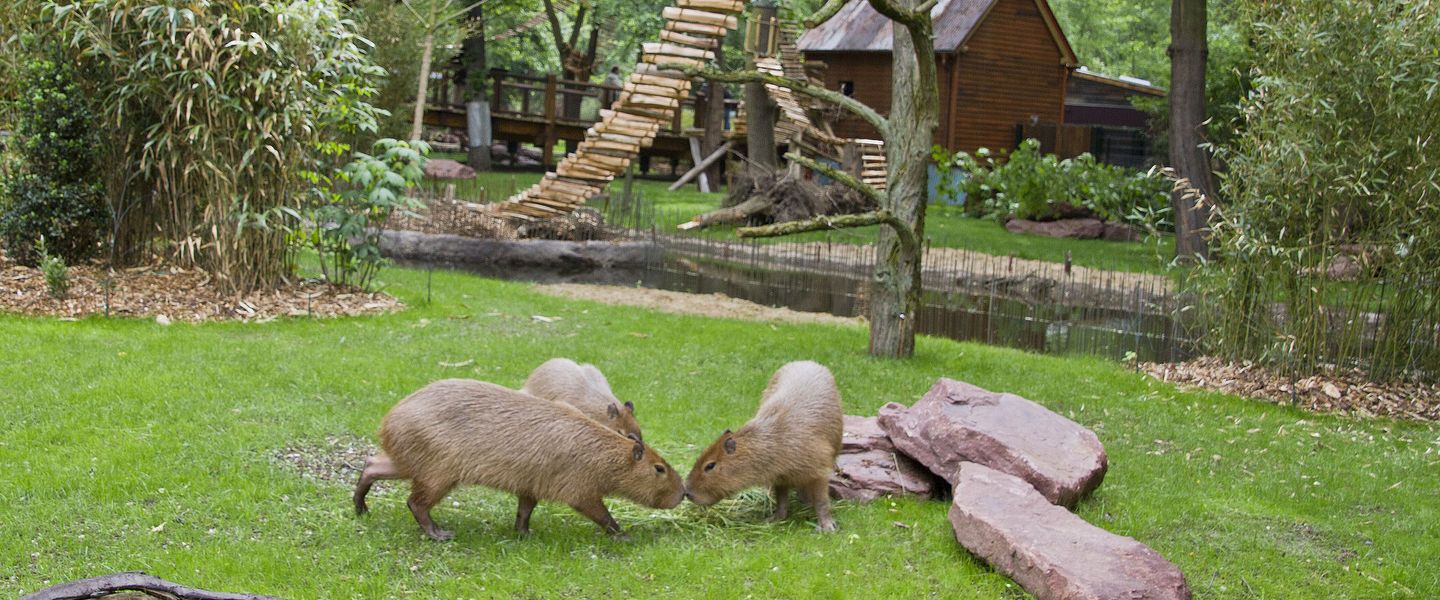 © Zoo Leipzig GmbH