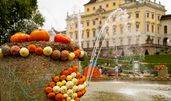 © Blühendes Barock Gartenschau Ludwigsburg GmbH