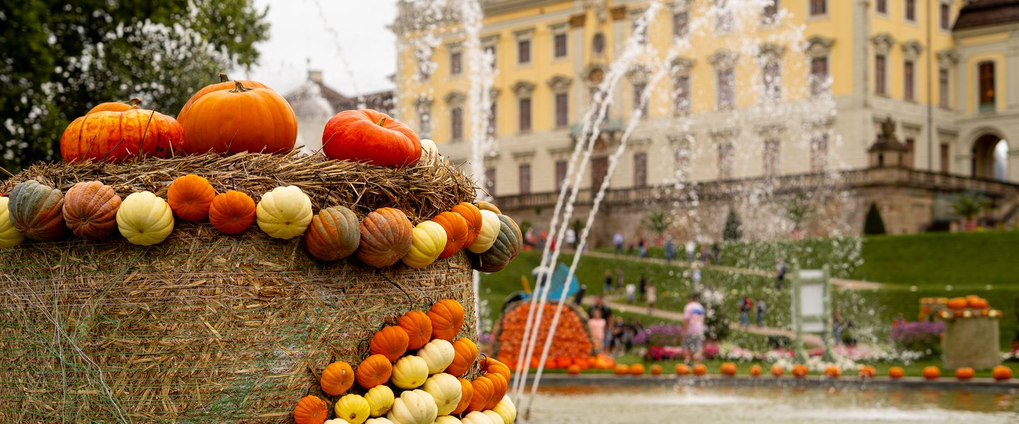© Blühendes Barock Gartenschau Ludwigsburg GmbH